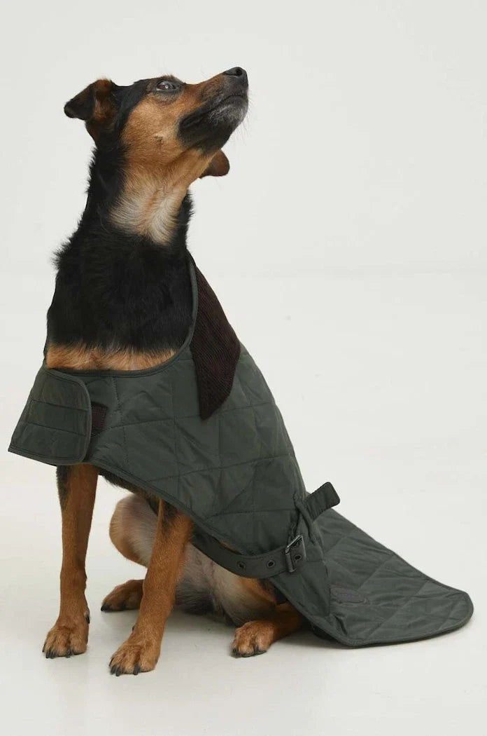 Chaqueta Barbour para Perro