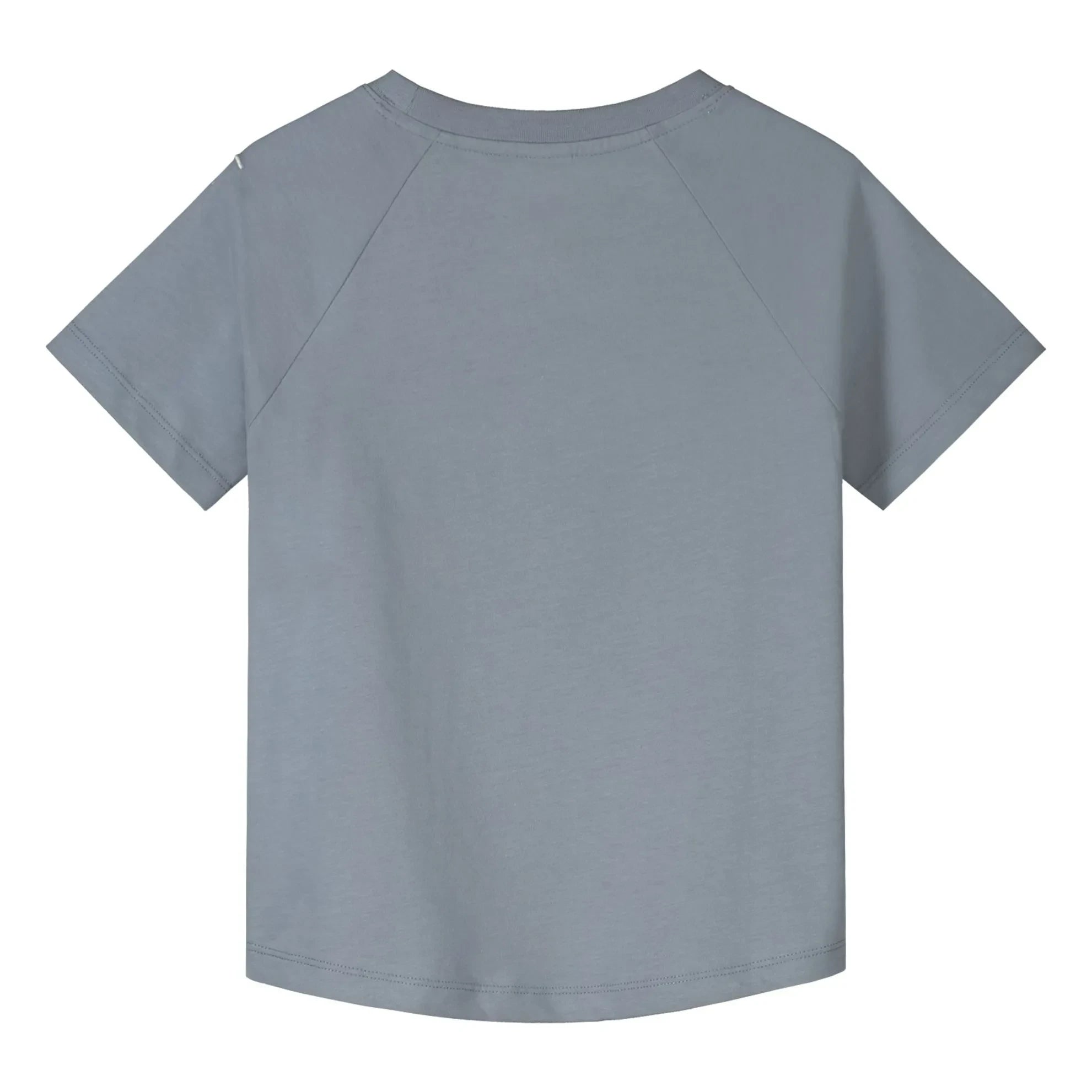 Gray Label - Camiseta de algodón orgánico | Azul hielo