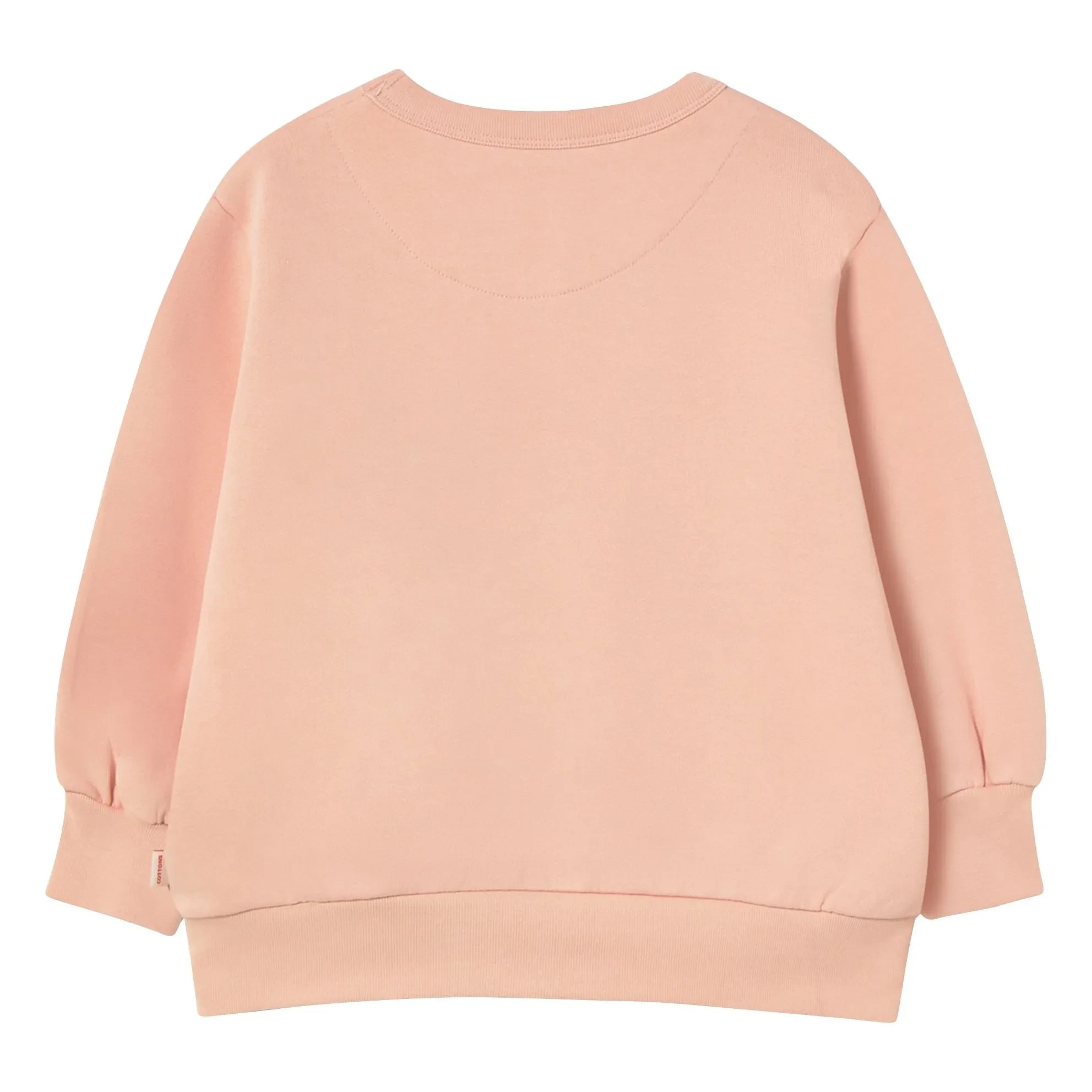 Tinycottons - Sudadera de Flores Algodón Orgánico | Rosa Palo