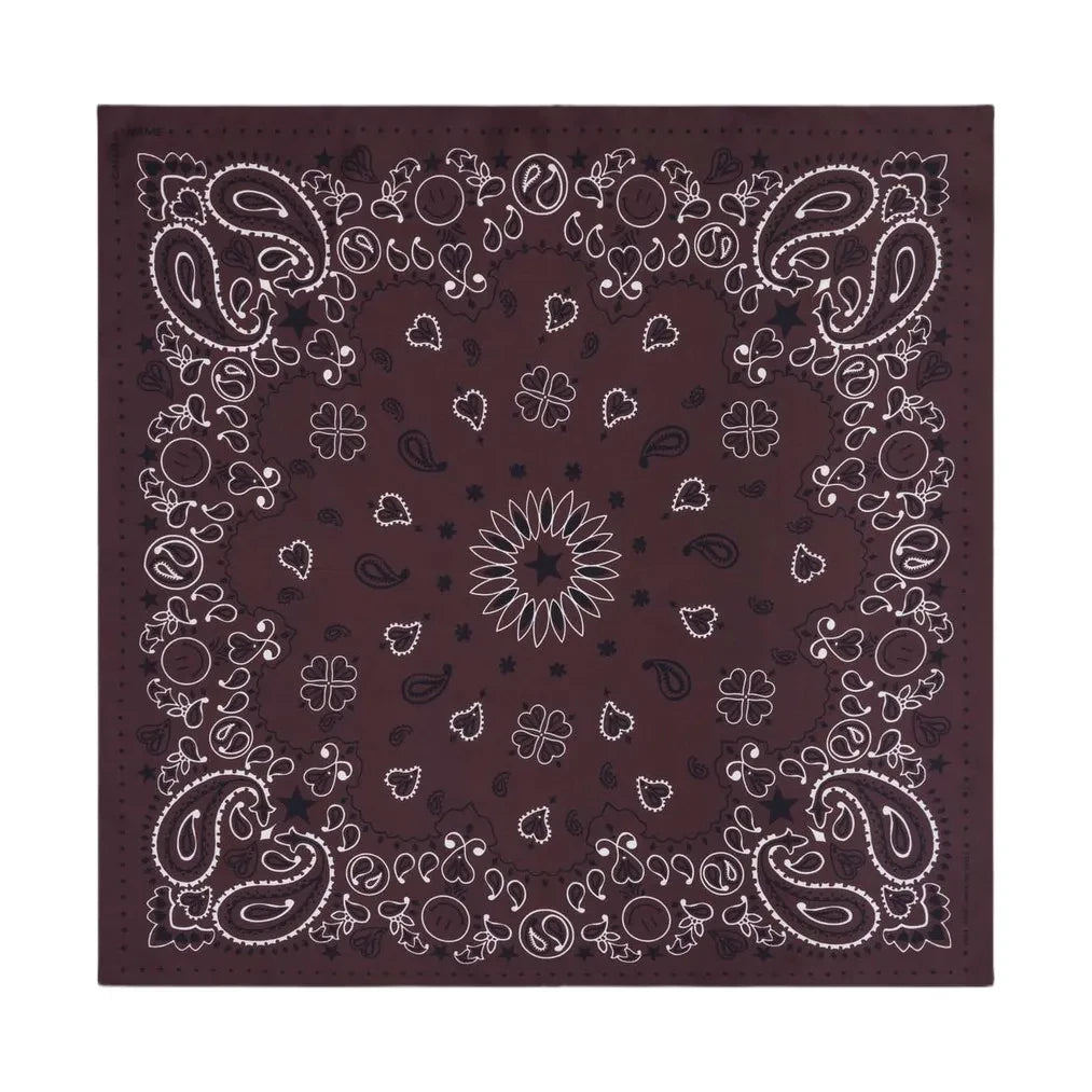 Llámala por tu nombre - Bandana Pequeña Etoile Soie | Café