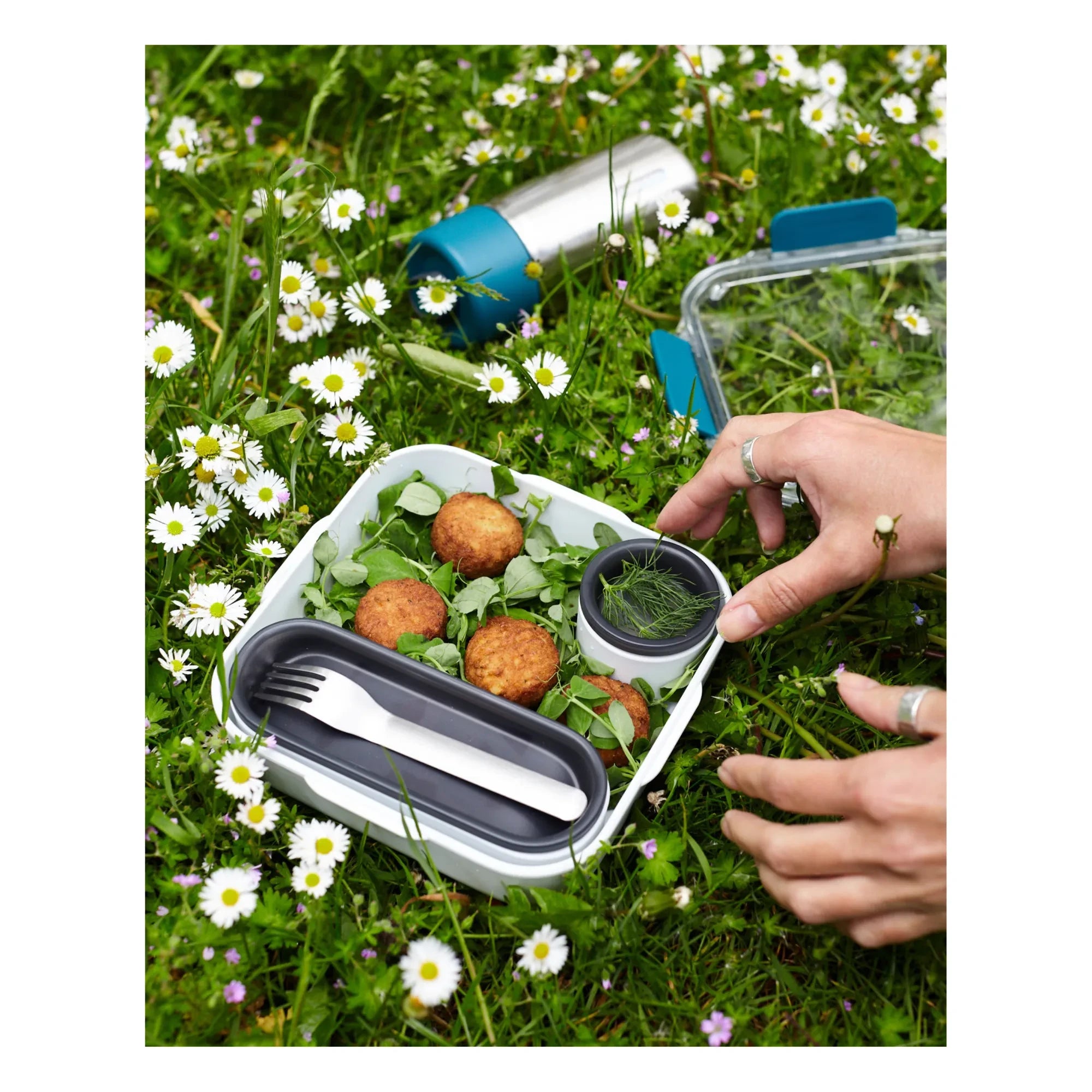 Black + Blum - Recipiente para alimentos - 1000 ml | Azul