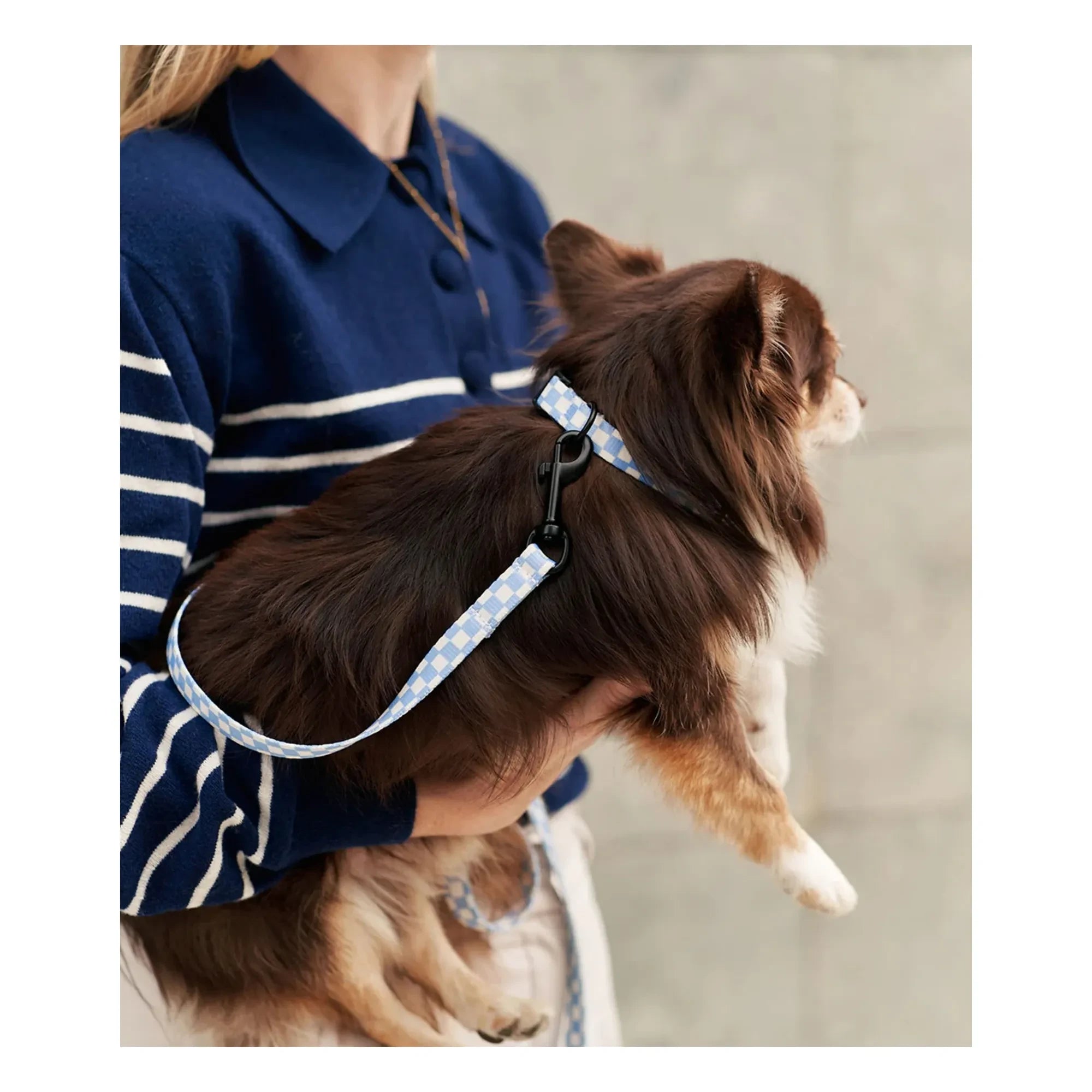 Cafide - Correa para perros Juno | Azul claro