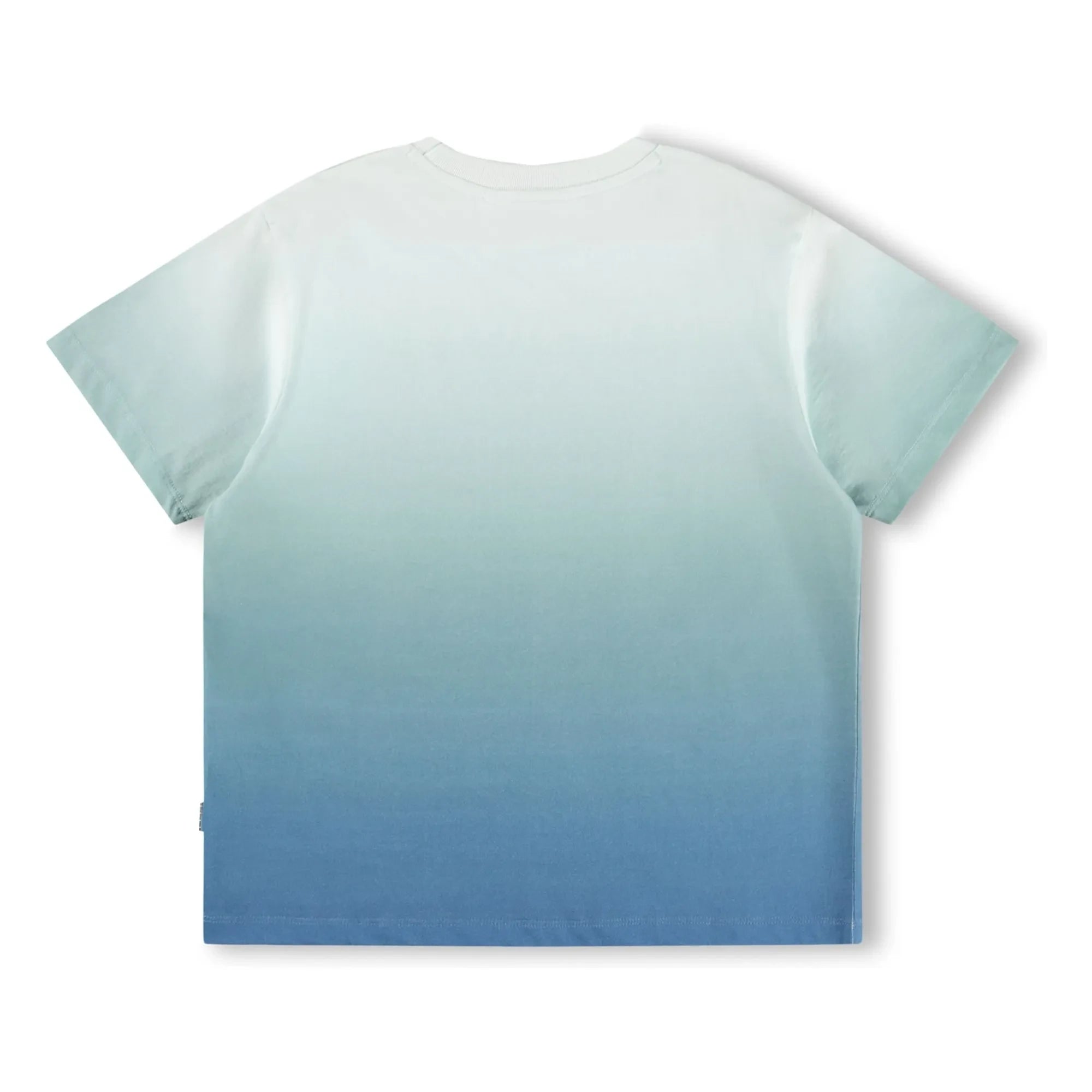 Molo - Camiseta de algodón orgánico con degradado Rodney | Azul