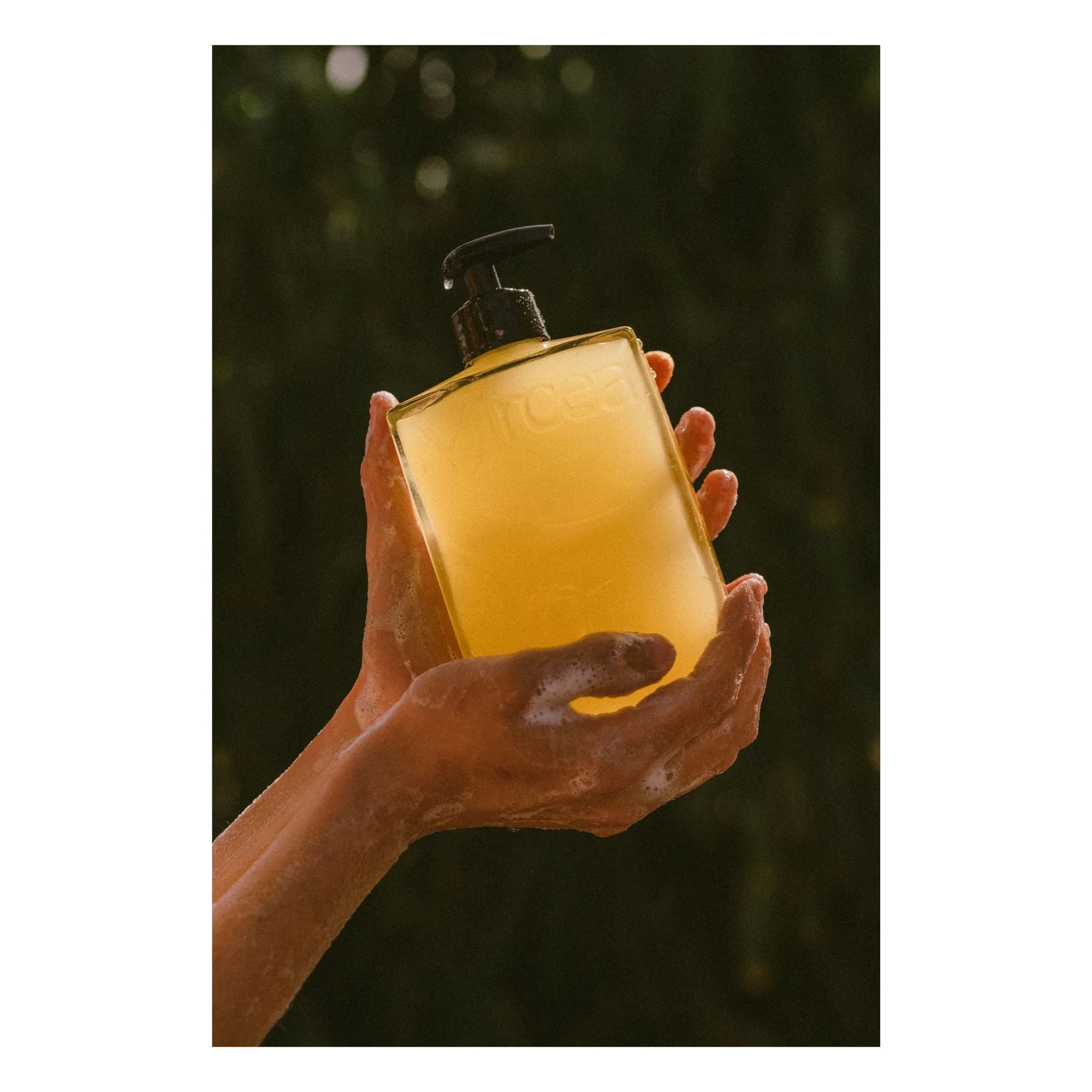 Mircea - Gel de ducha de cedro y romero - 400 ml