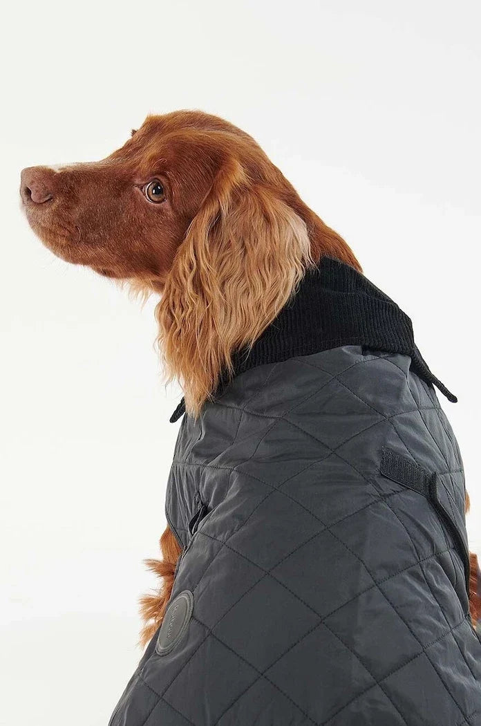 Chaqueta para perro Barbour