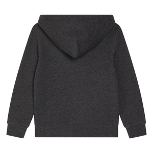 Ralph Lauren - Sudadera con capucha y logo | Gris oscuro