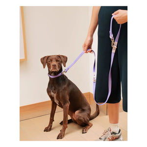 Aprobado por Fritz - Collar de perro ajustable | Lila