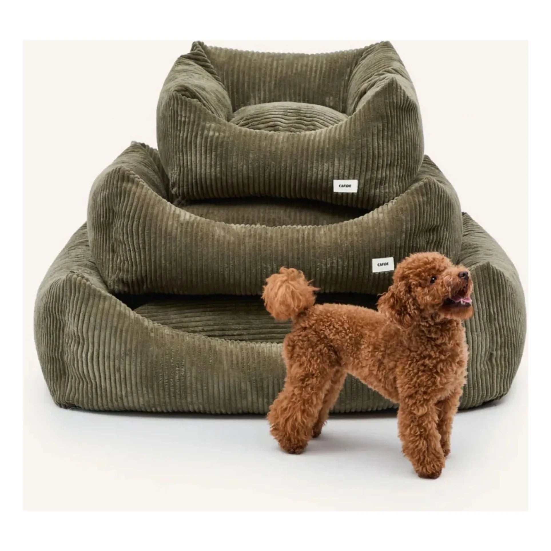 Cafide - Cama para perro de terciopelo Snozy | Verde