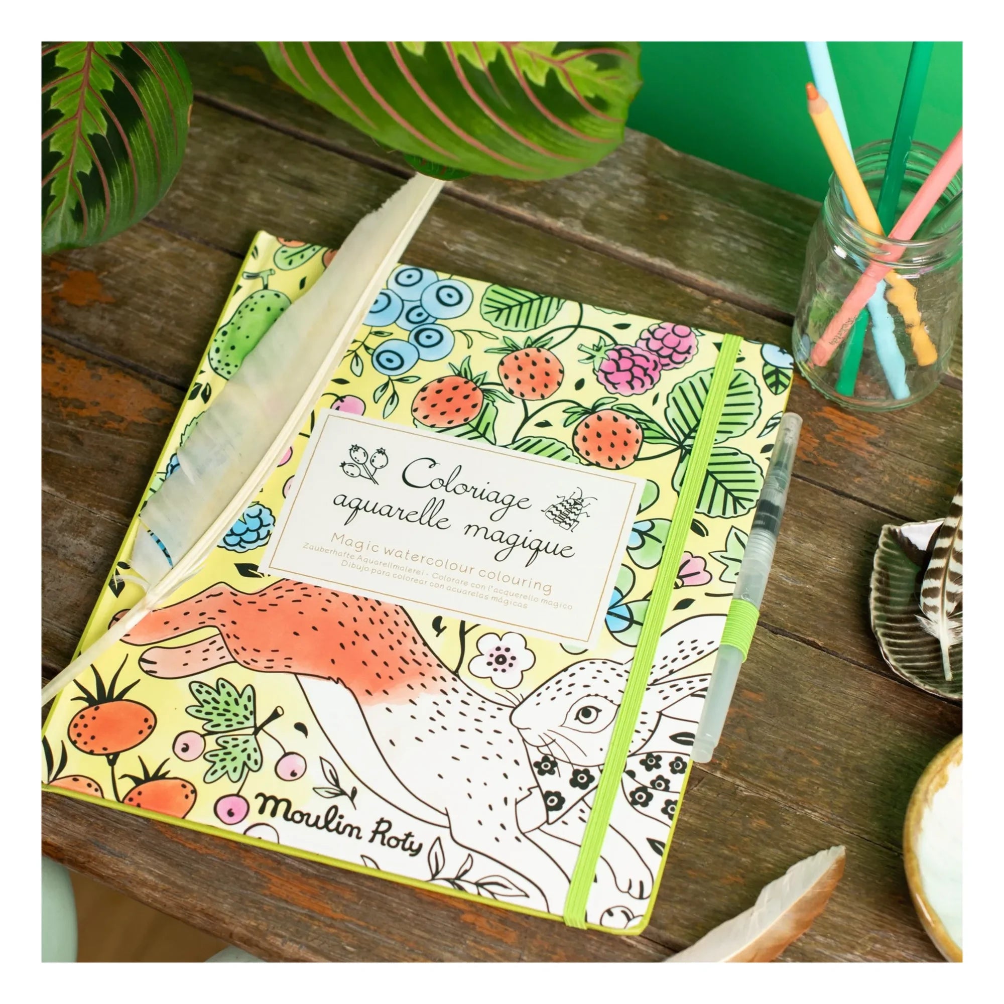 Moulin Roty - El libro mágico de la acuarela - Le jardin du Moulin