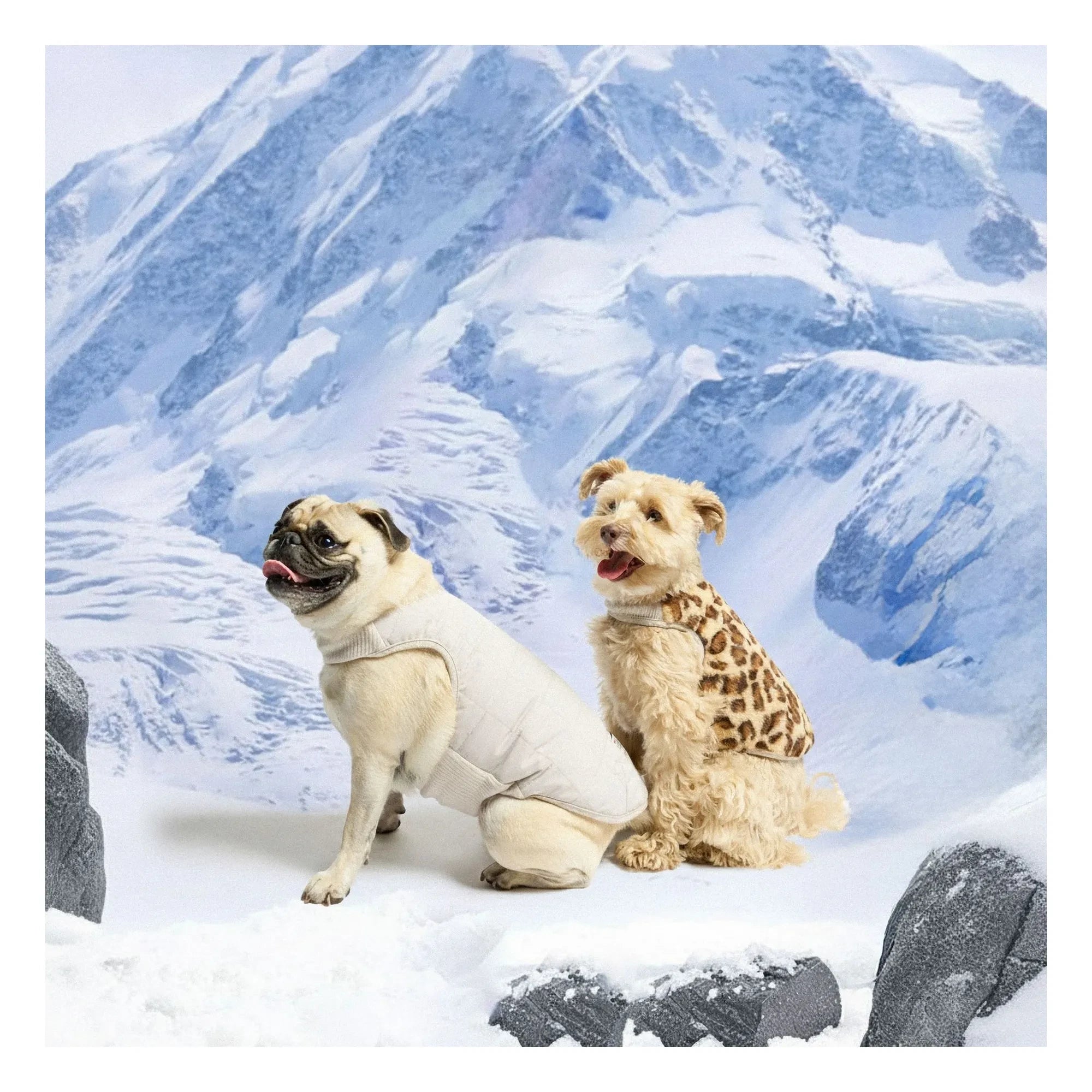 The Furry Folks - Chaqueta acolchada reversible | Gris