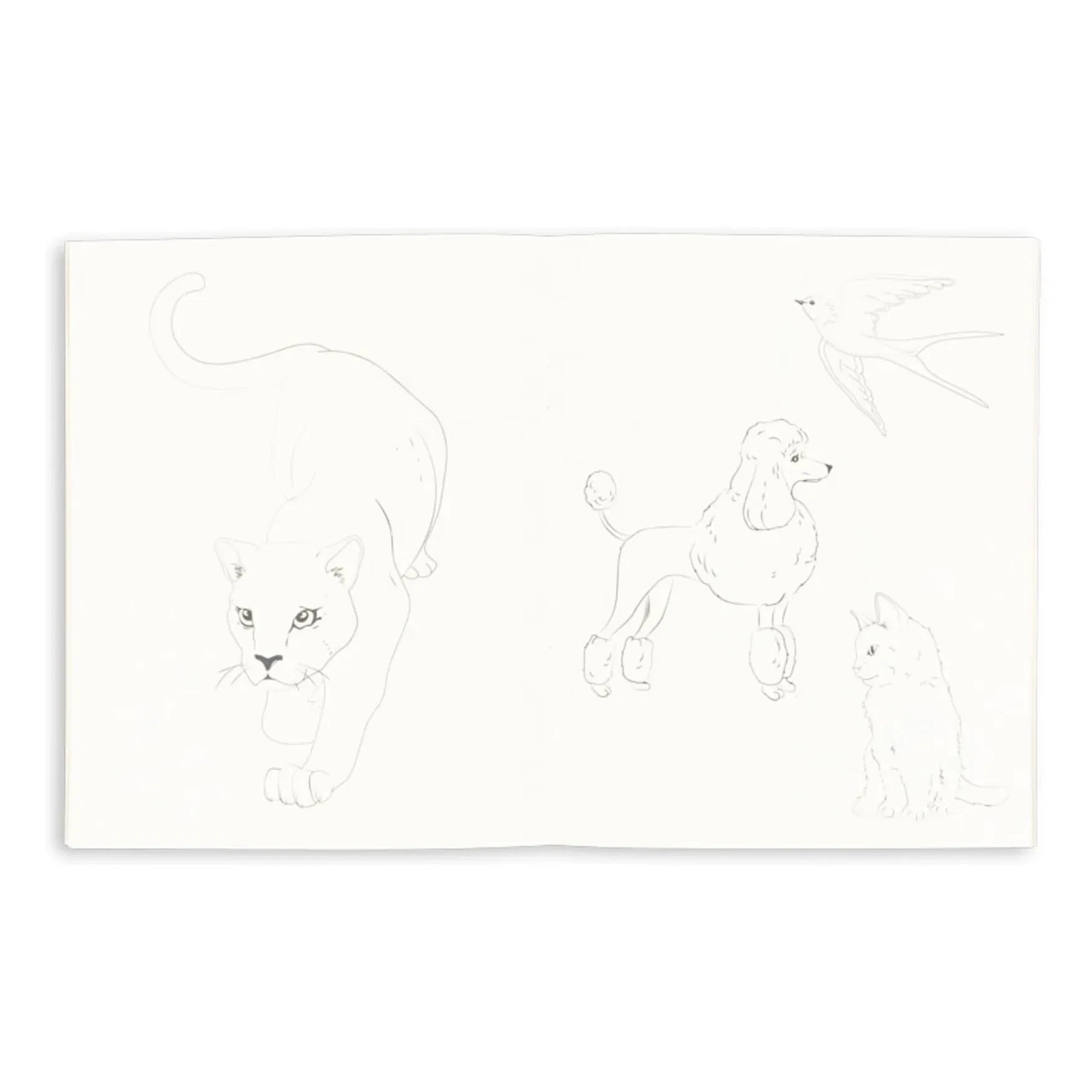 Konges Sløjd - Libro para colorear con 6 lápices | Salvia