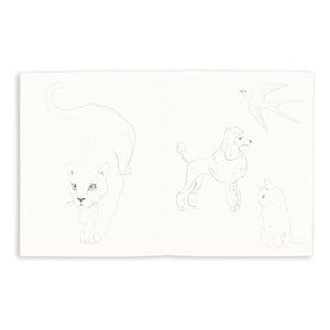 Konges Sløjd - Libro para colorear con 6 lápices | Salvia