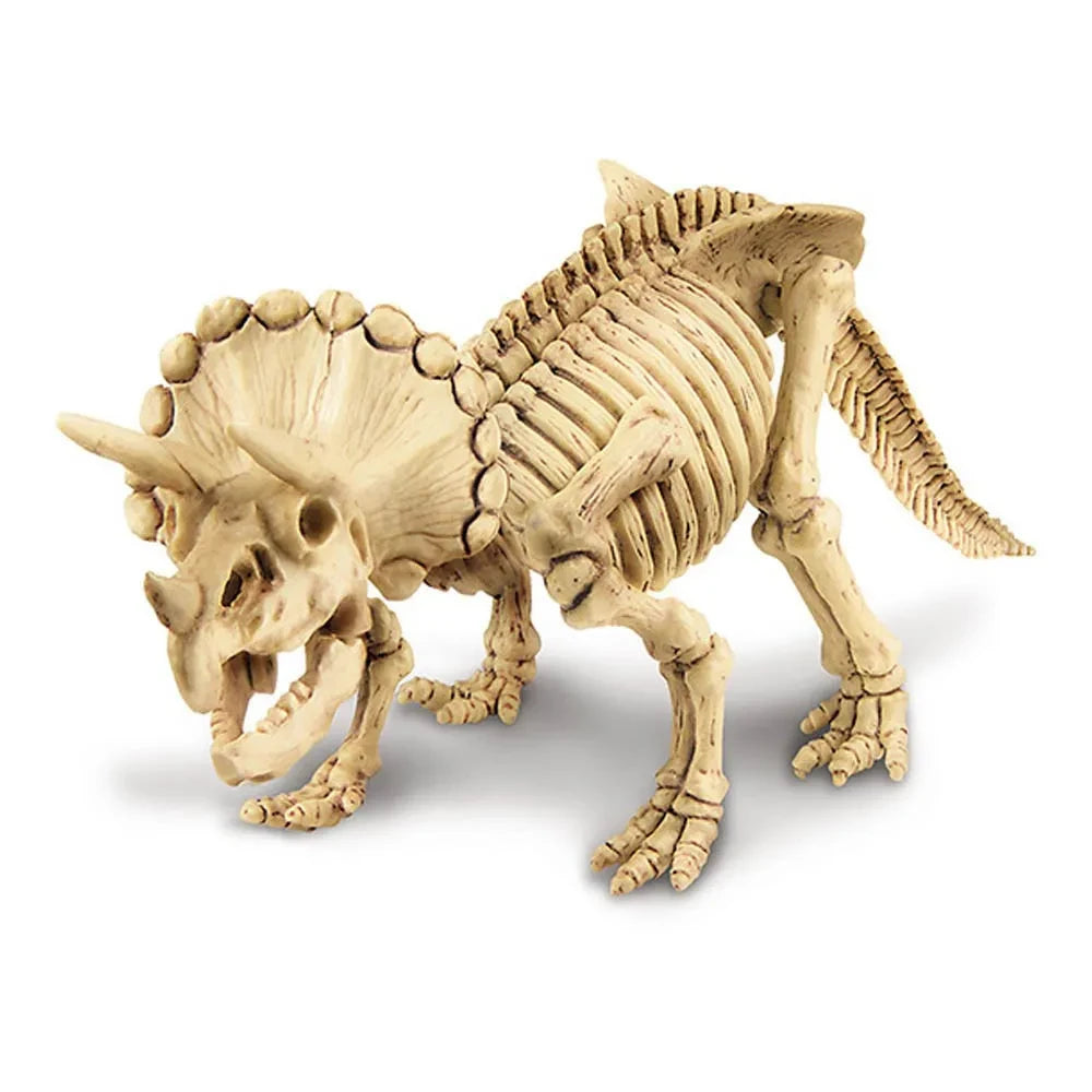 4M - Kit de excavación de Triceratops