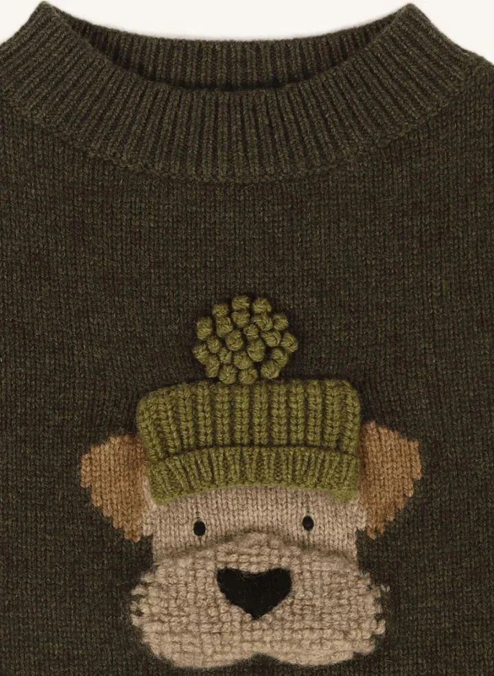 Donsje - Denn Dog Suéter de lana merino | Verde oscuro