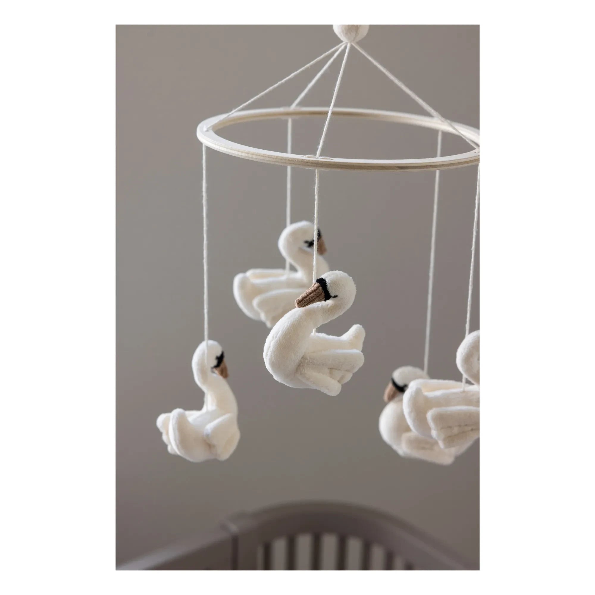 Cebra - Cisnes móviles | Blanco
