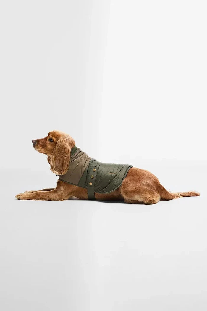 Abrigo acolchado para perro Brampton de Barbour