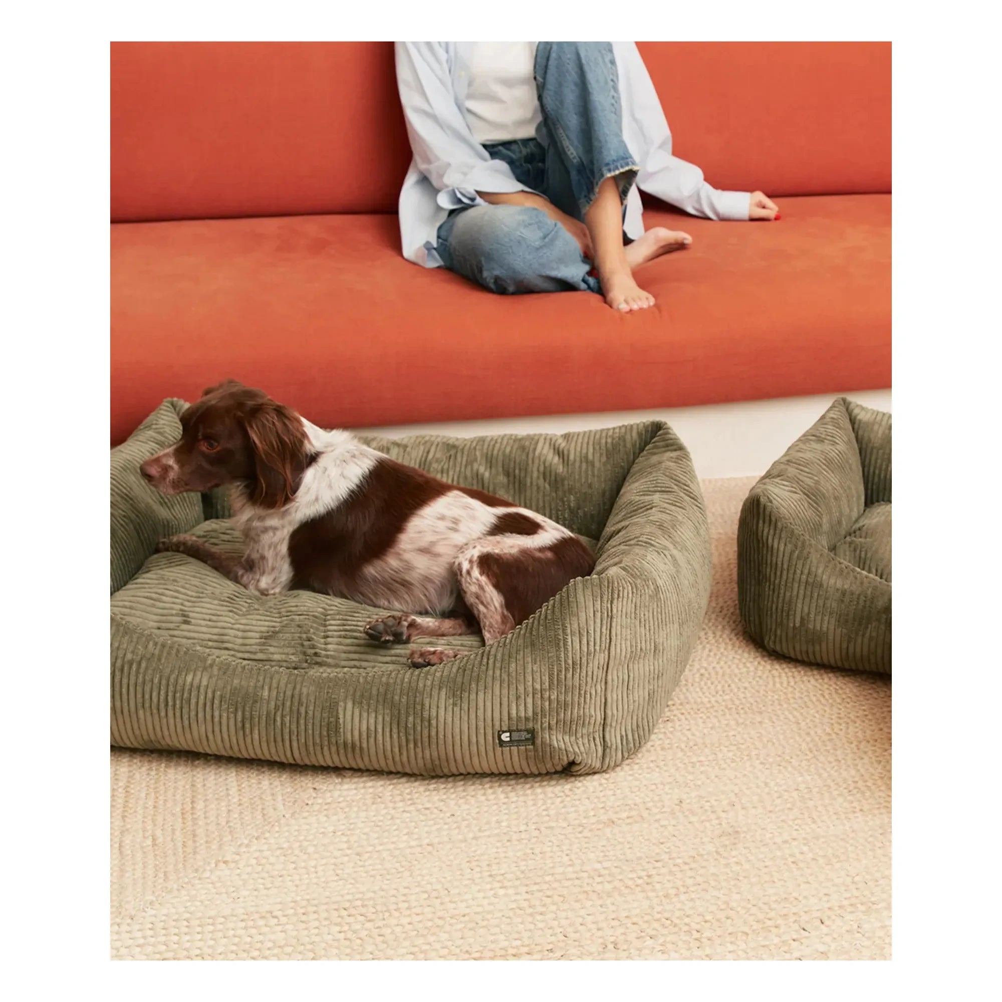 Cafide - Cama para perro de terciopelo Snozy | Verde