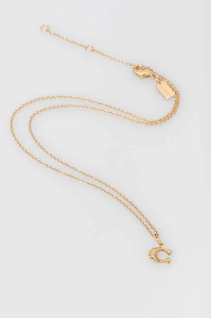 Collar de entrenador