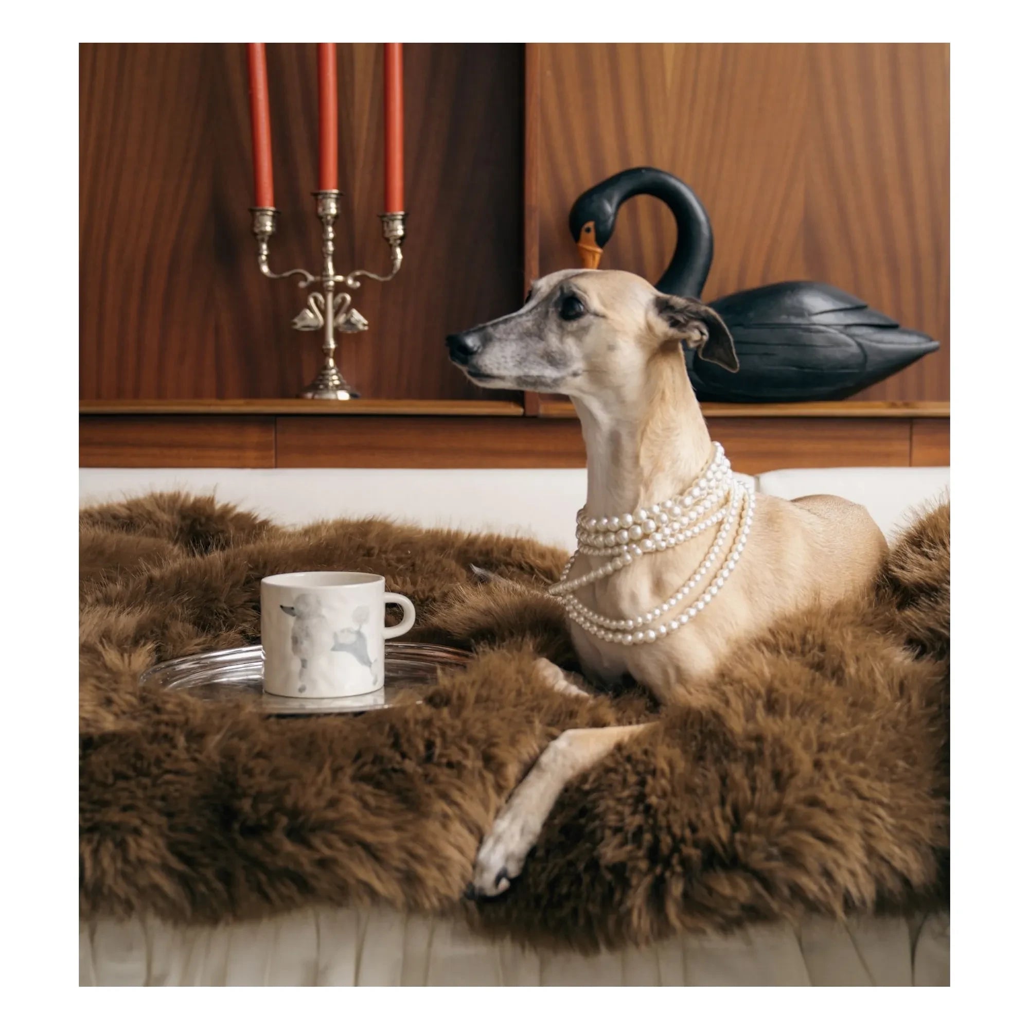 Anna + Nina - Taza caniche
