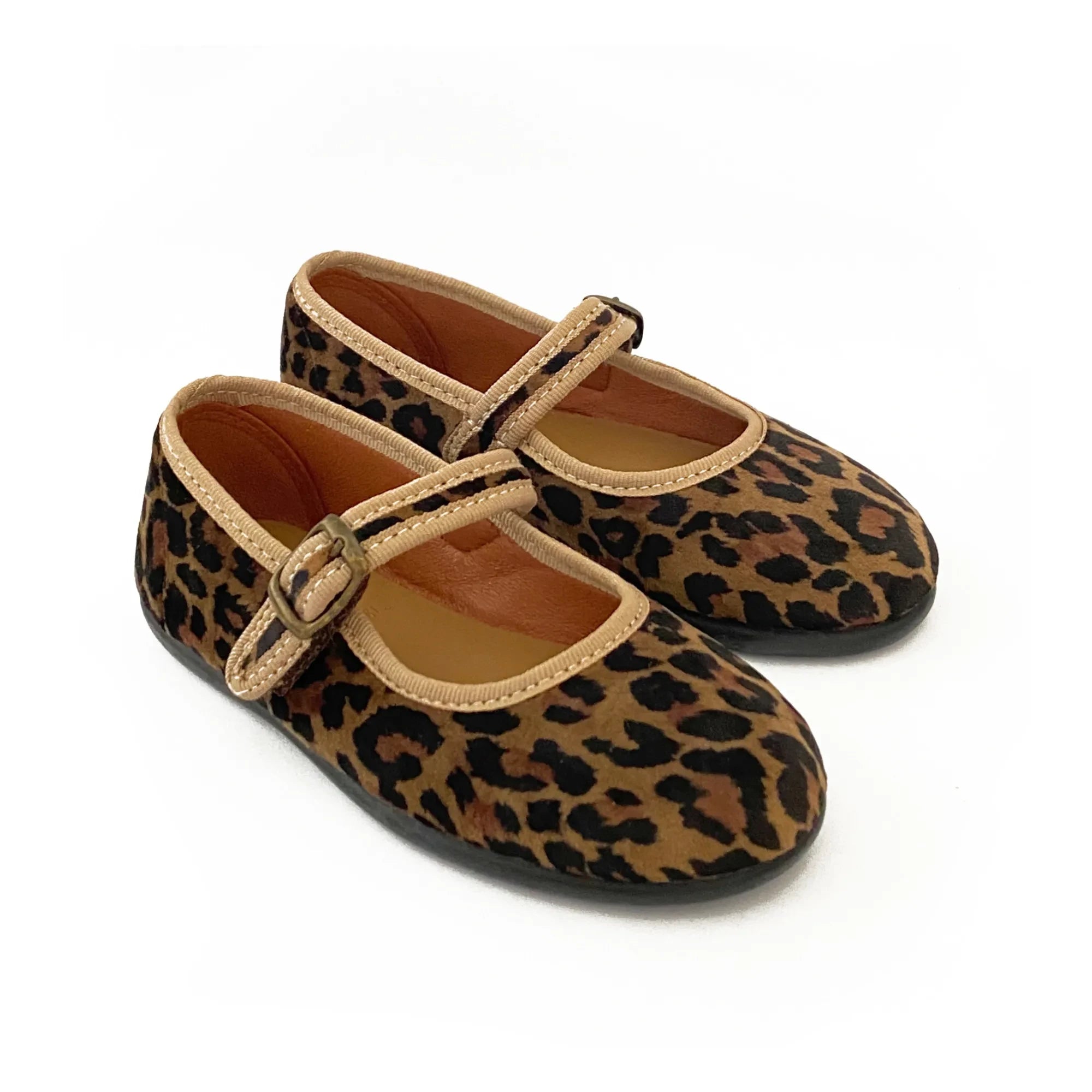 Hermosilla - Faunia Babet | Leopardo
