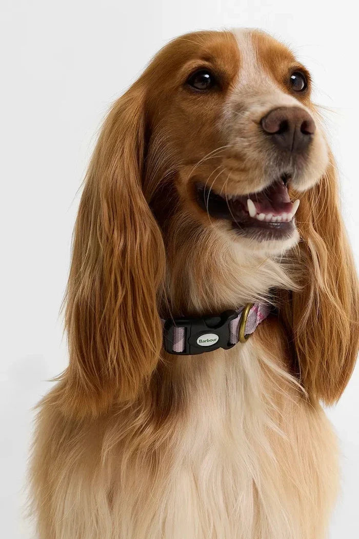 Collar de perro Barbour