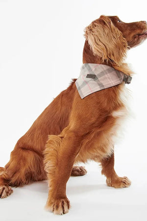 Bandana Barbour Tartan para perro