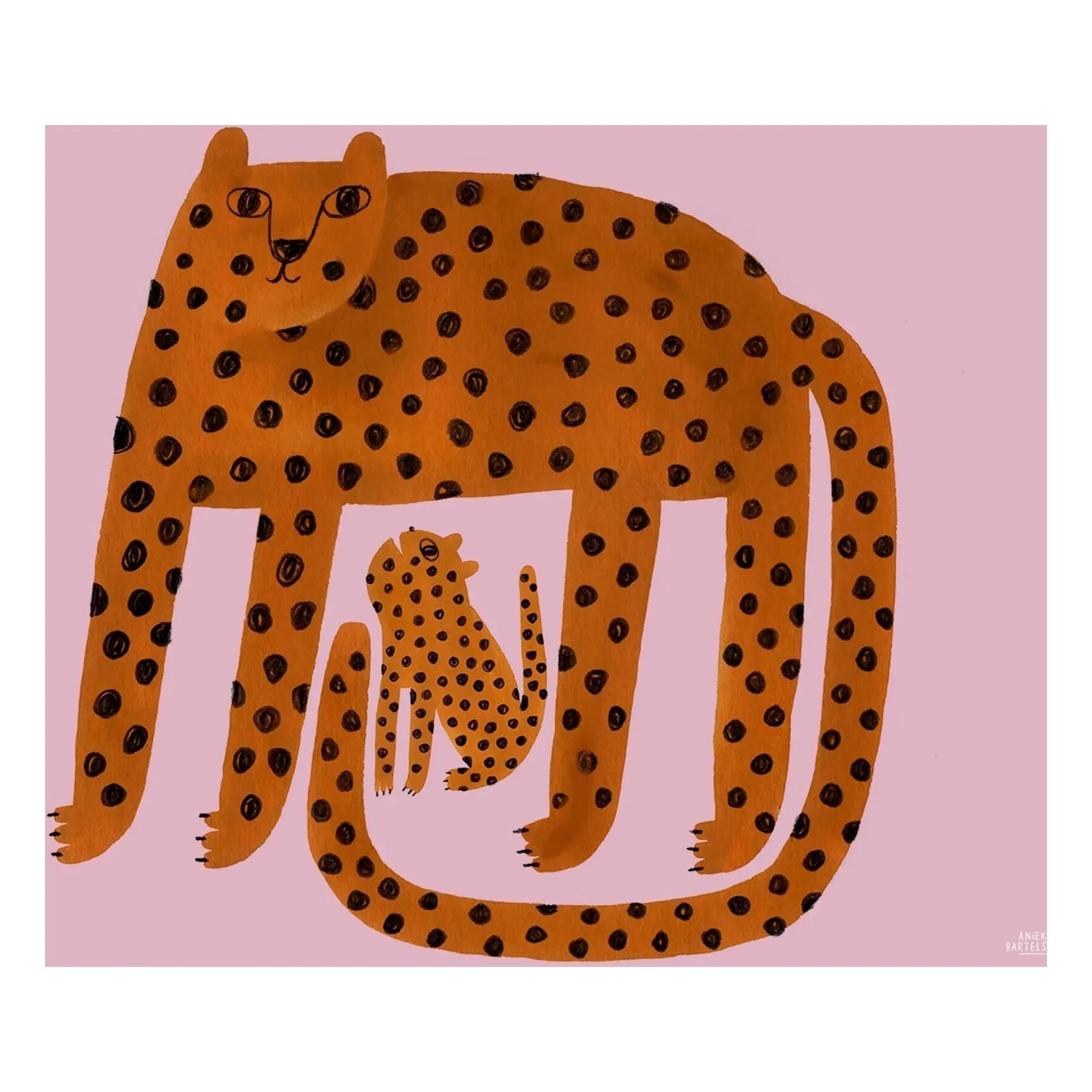 Mado - Póster de leopardos