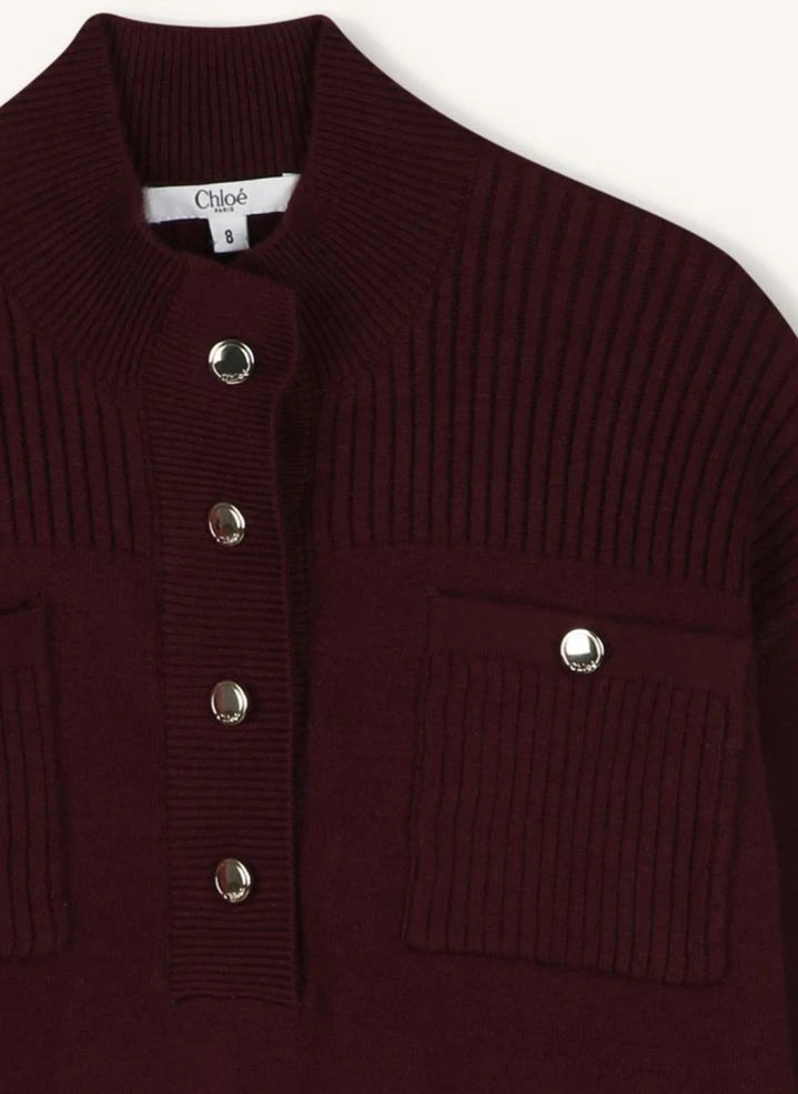 Chloé - Jersey de cuello alto en algodón orgánico | Morado