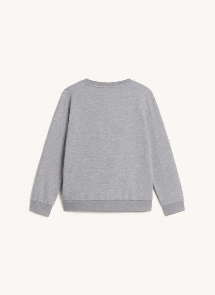 The North Face - Sudadera Simple Done | Gris melange