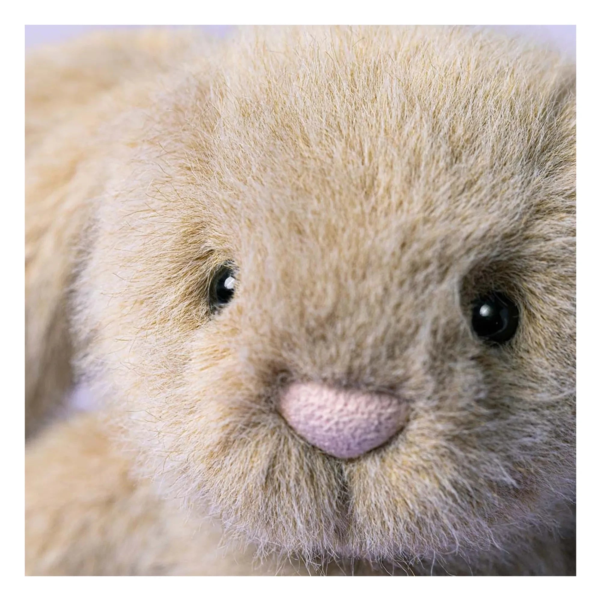Jellycat - Conejito Peludo | Avena
