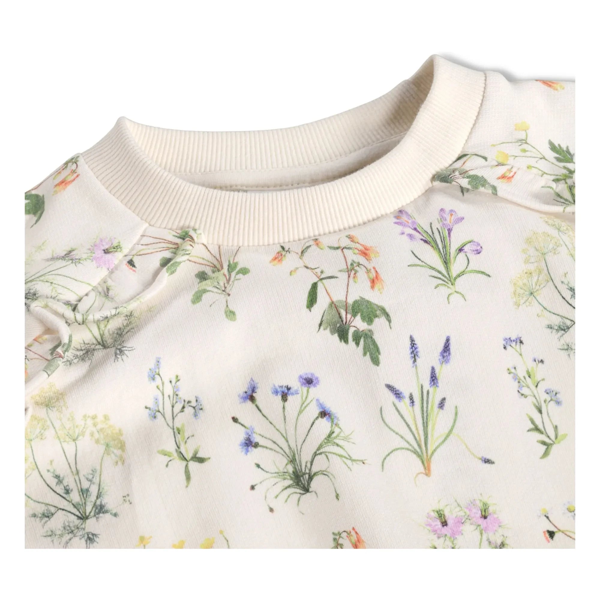 Sudadera Molo - Mabel Fleuri de algodón orgánico | Crudo