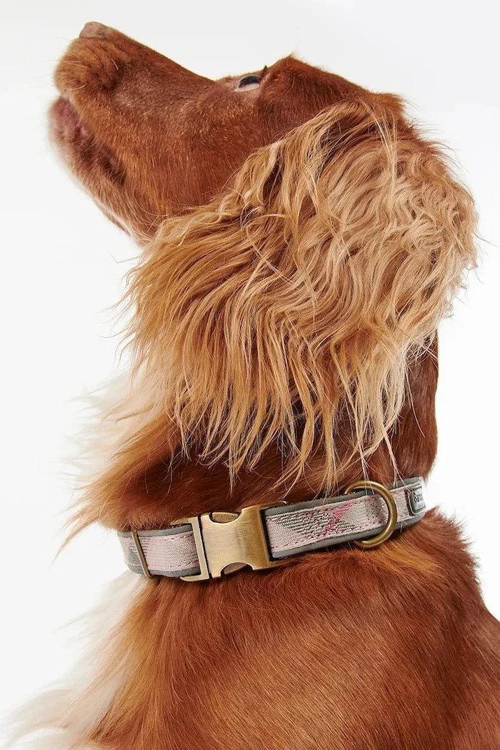 Correa para perros Barbour