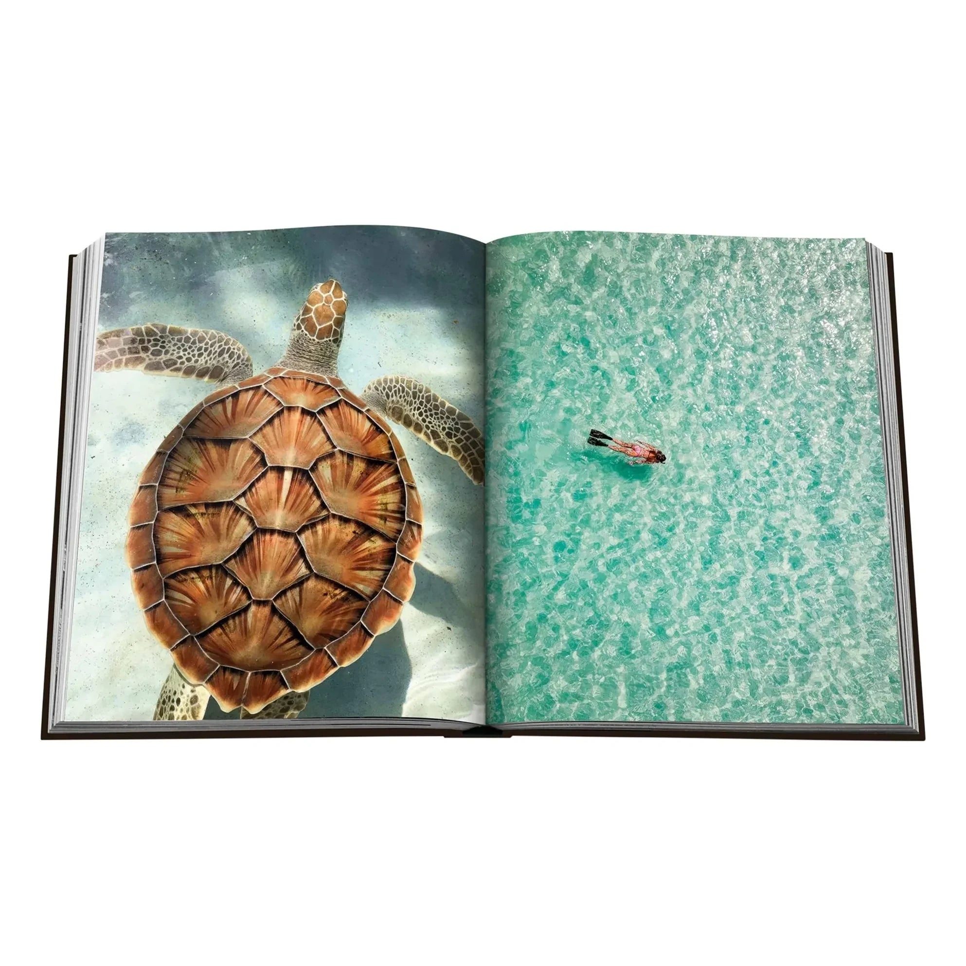 Assouline - Jamaica Air