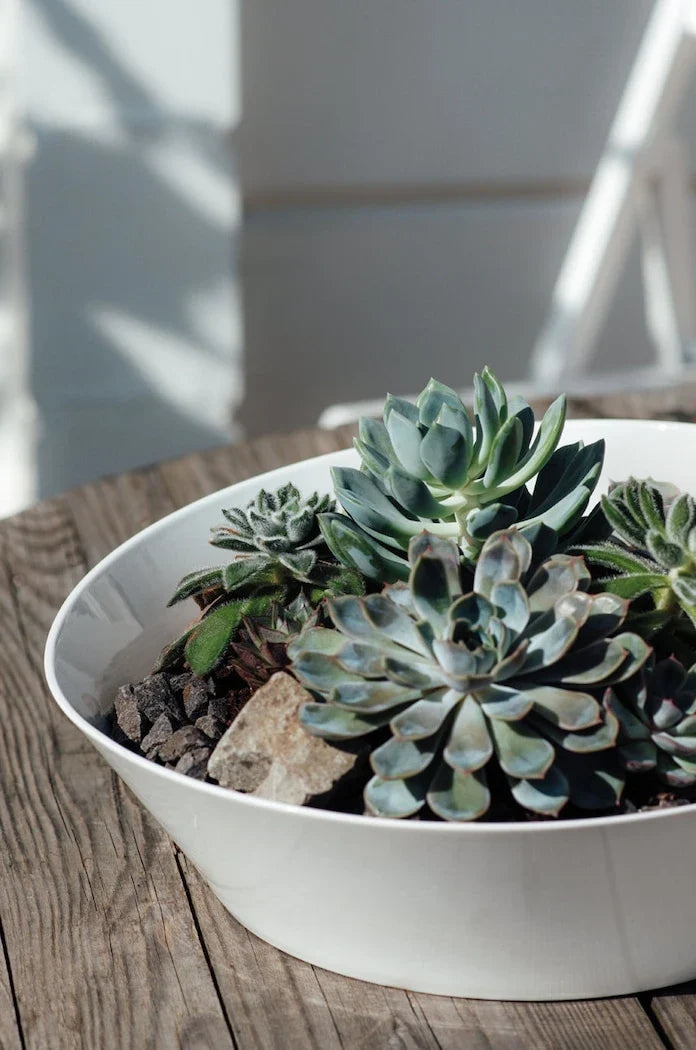 Fuente de servir NewWave de Villeroy & Boch