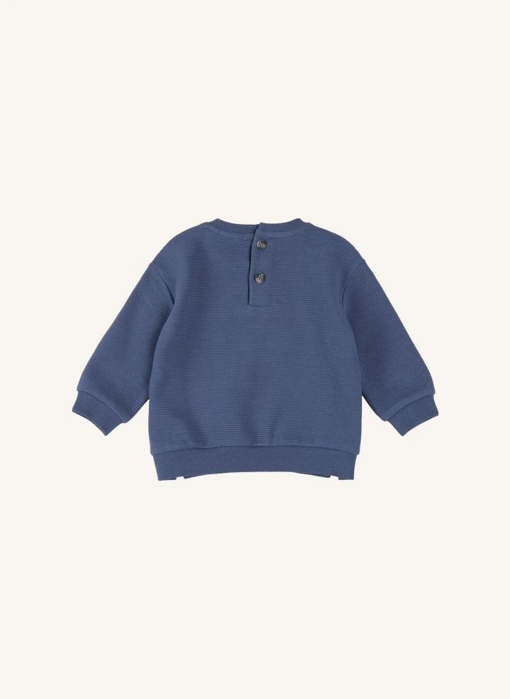 Petit Lem - Conjunto de sudadera y jogger de algodón orgánico para perro | Azul
