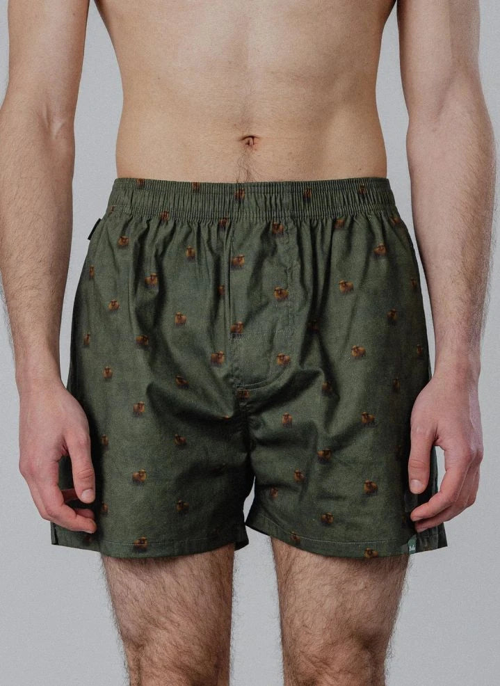 Pockies - Koyun Boxer Şort | Yeşil