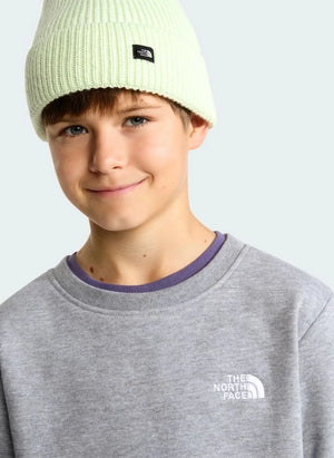 The North Face - Sudadera Simple Done | Gris melange