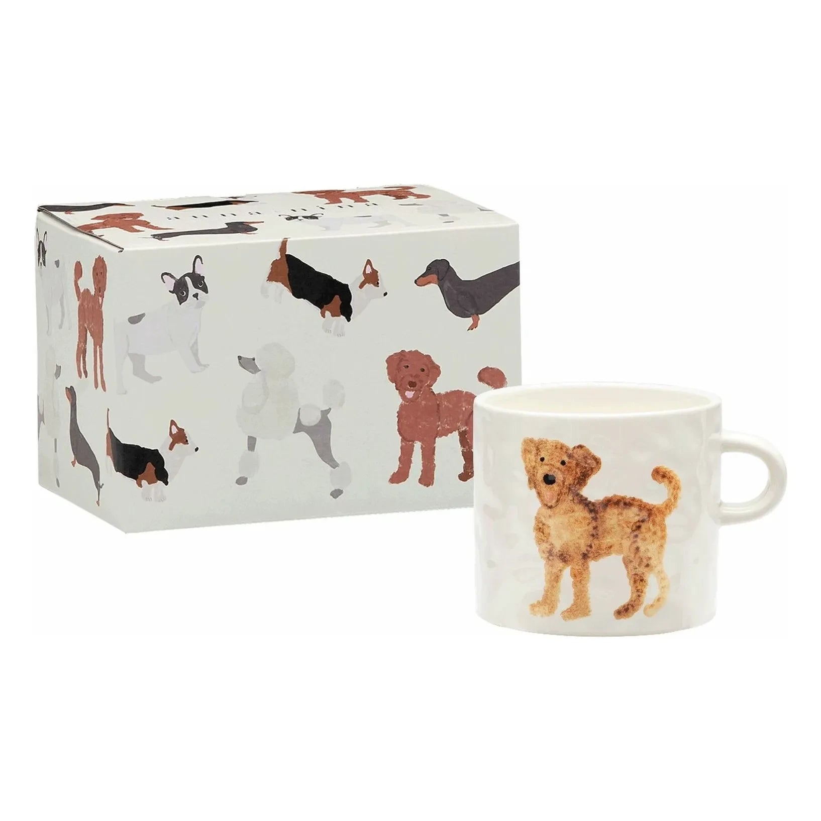 Anna + Nina - Taza Labradoodle