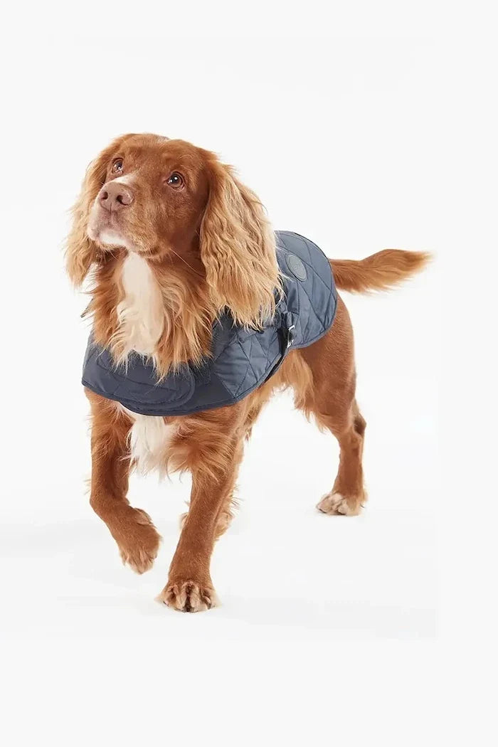 Chaqueta para perro Barbour