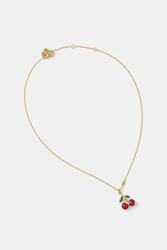 Collar de entrenador