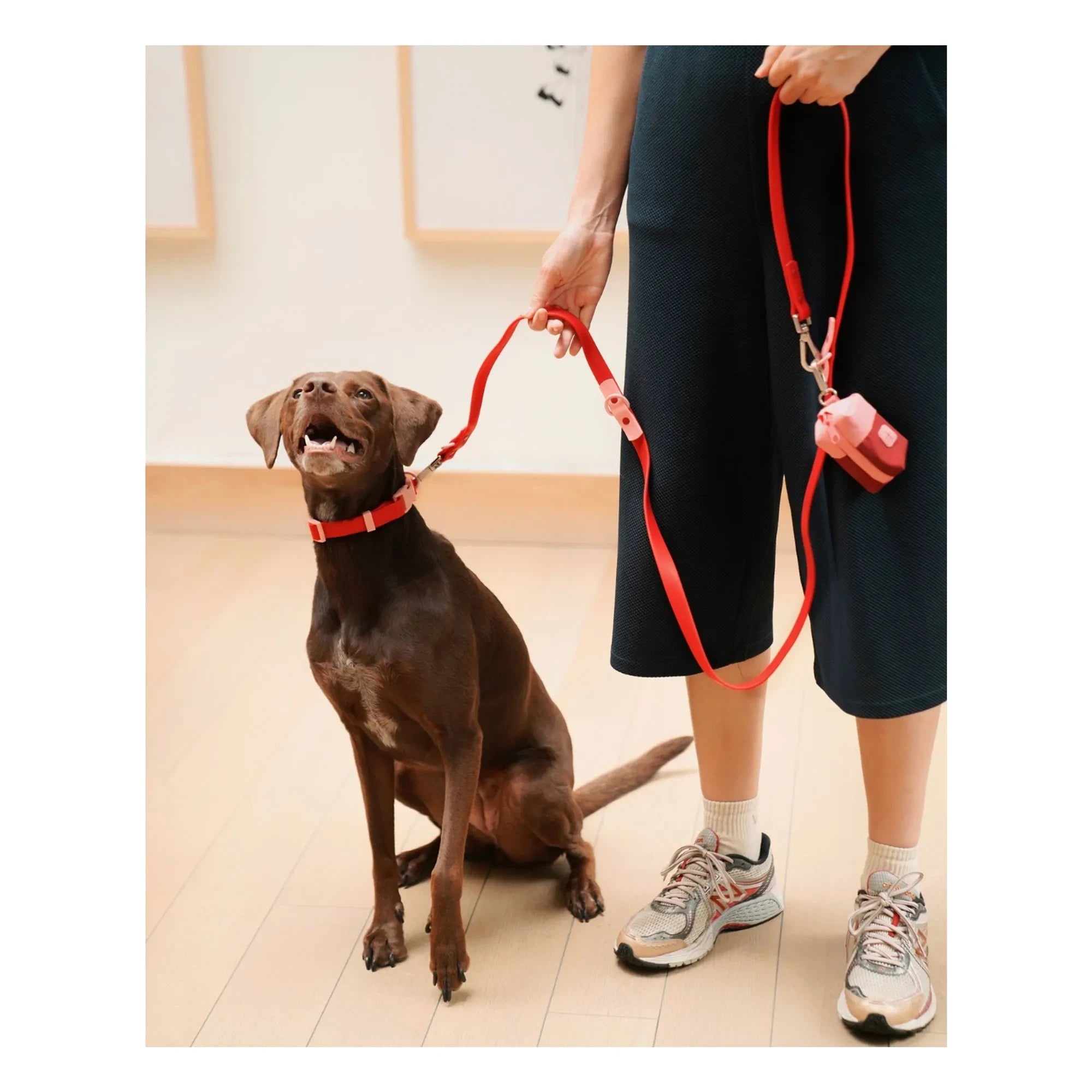 Approved by Fritz - Collar para perros | Rojo cereza
