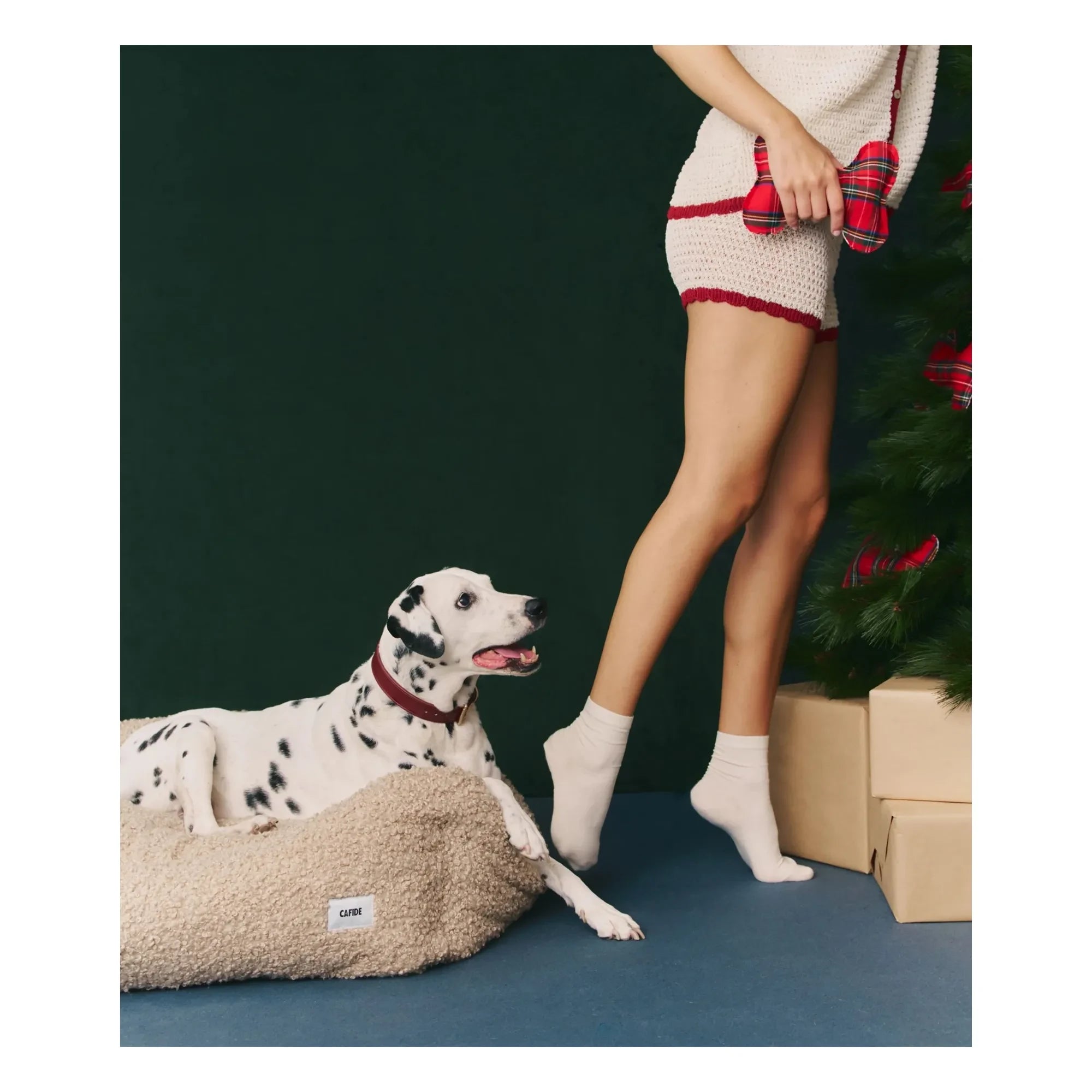Cafide - Juguete para perros con forma de hueso | Rojo