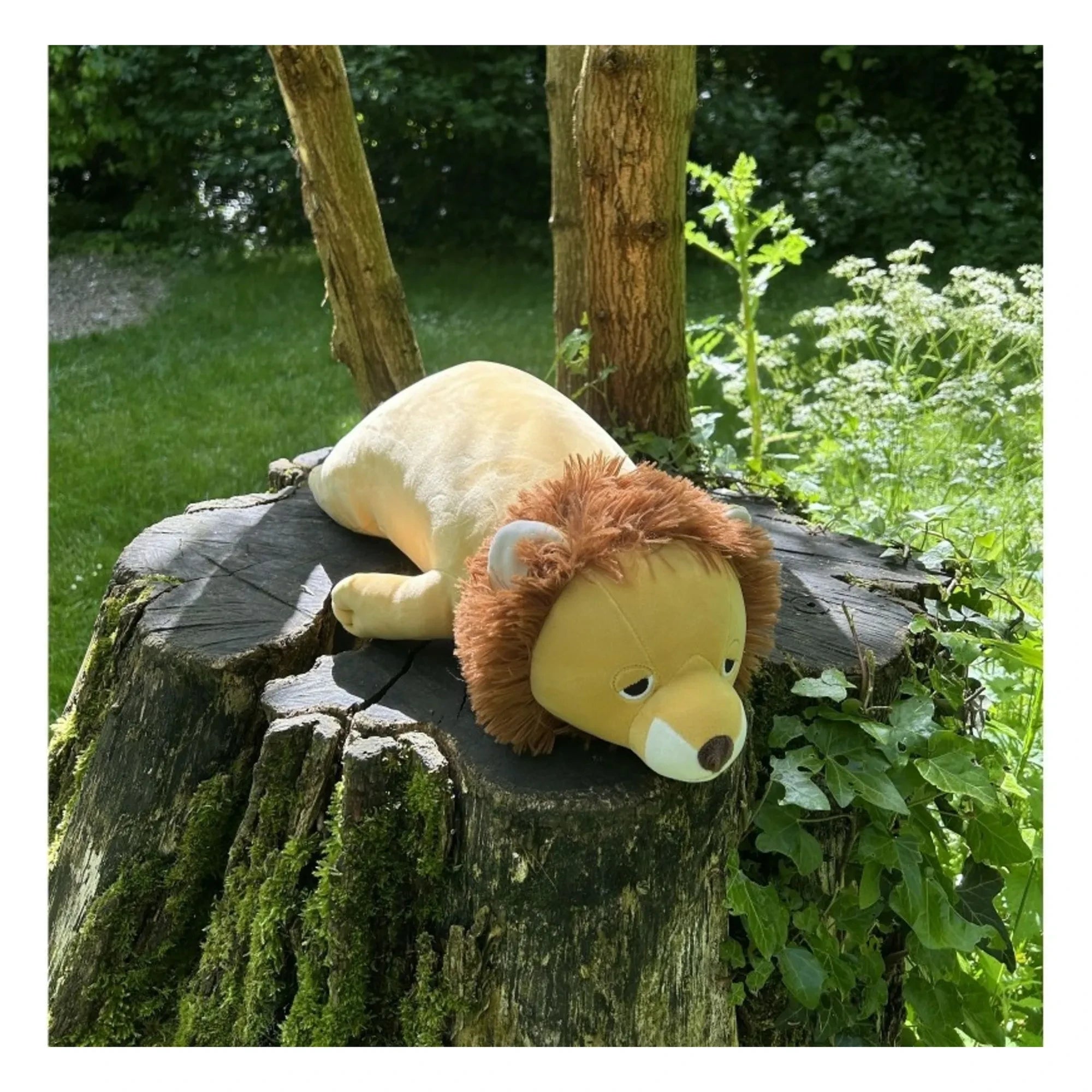 Nemu Nemu - Peluche León Aslan | Camel