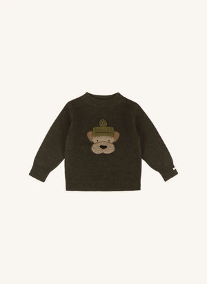 Donsje - Denn Dog Suéter de lana merino | Verde oscuro