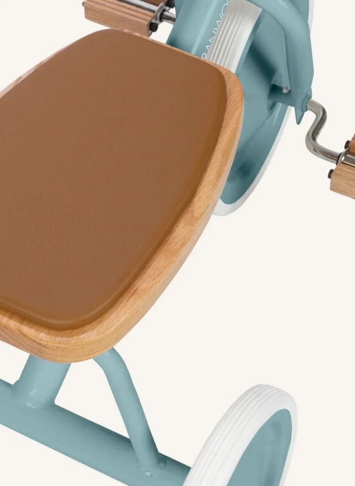 Banwood - Bicicleta de tres ruedas de metal y madera | Teal Azul