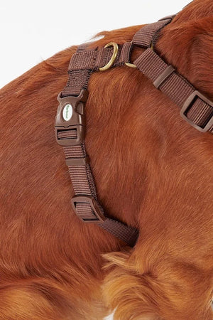 Arnés Barbour Travel And Exercise para perro