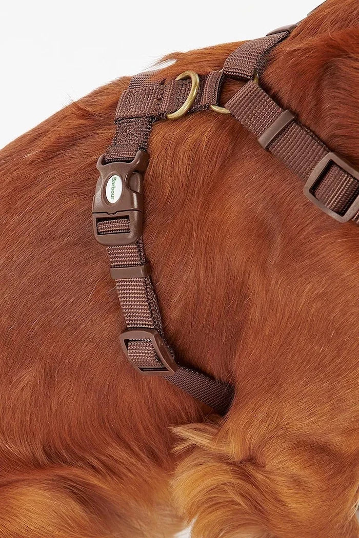 Arnés Barbour Travel And Exercise para perro