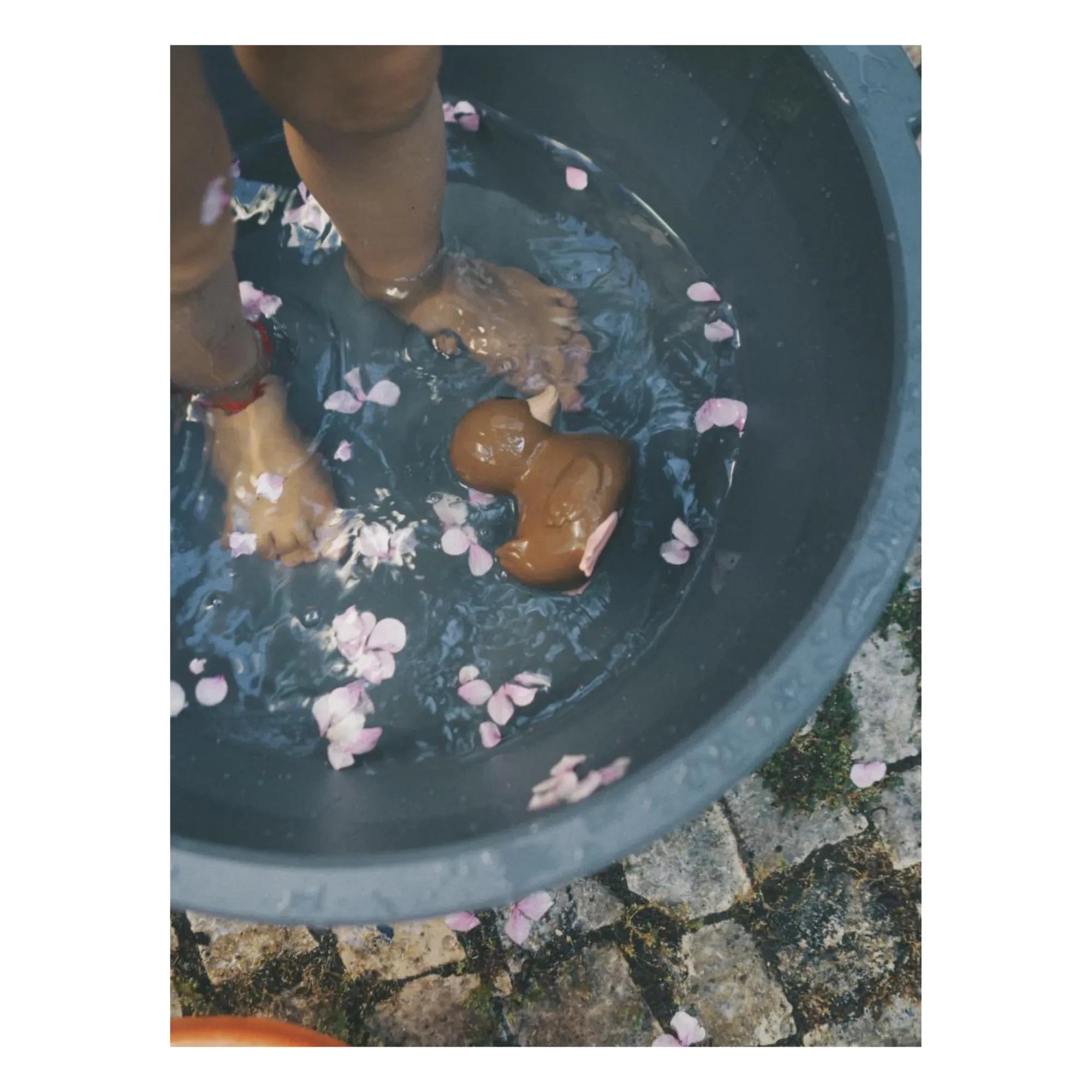 Hevea - Pato de goma Kawan | Chocolate