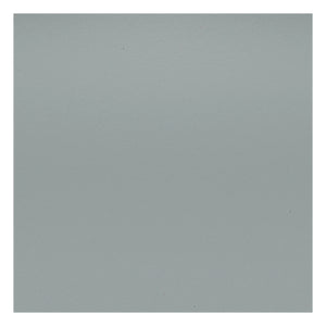 Vitra - Silla DSR de plástico - base de cromo - Charles & Ray Eames | Gris claro