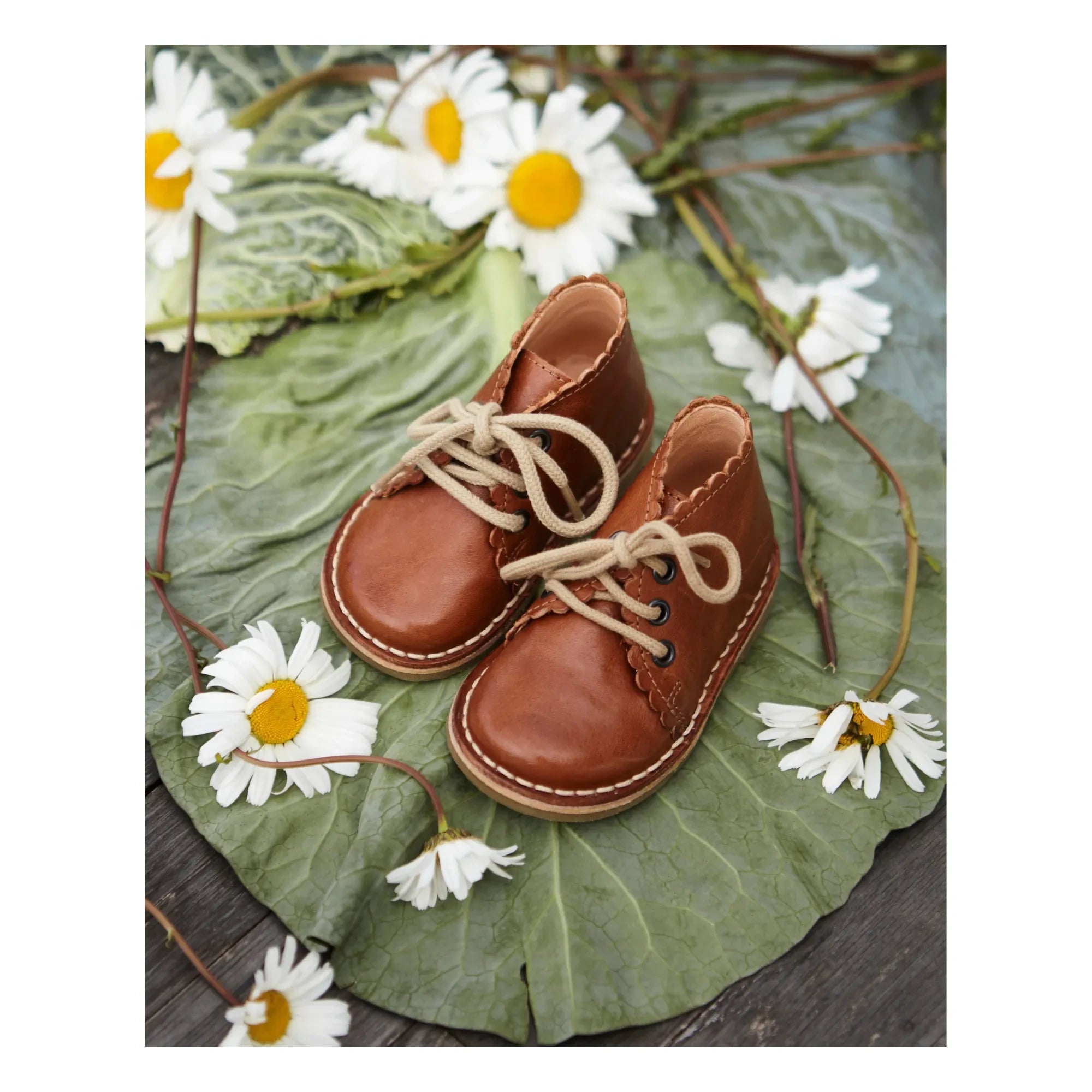 Petit Nord - Botines con cordones | Coñac